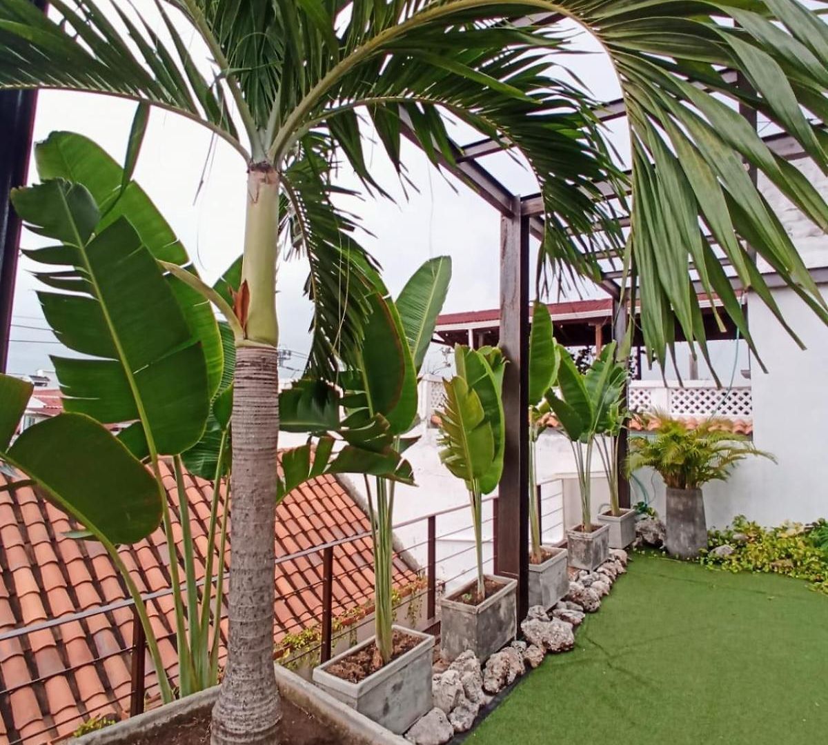 Duplex 5 Min Walk To Spots In Historic Center *