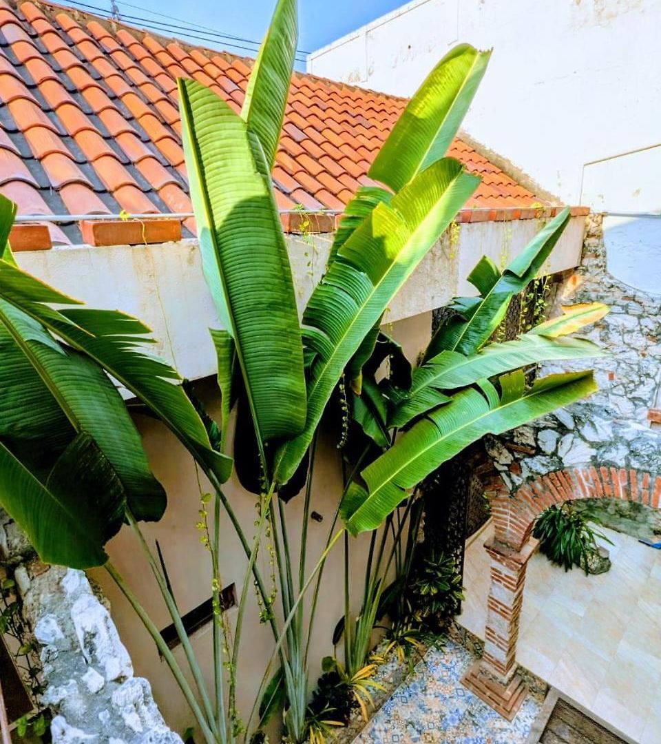 Duplex 5 Min Walk To Spots In Historic Center