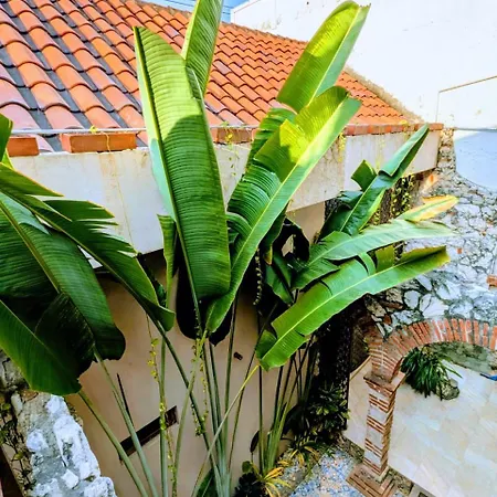Duplex 5 Min Walk To Spots In Historic Center